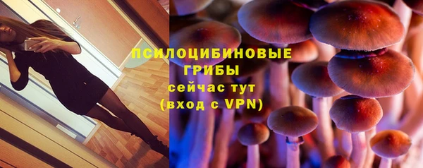 хмурый Абаза