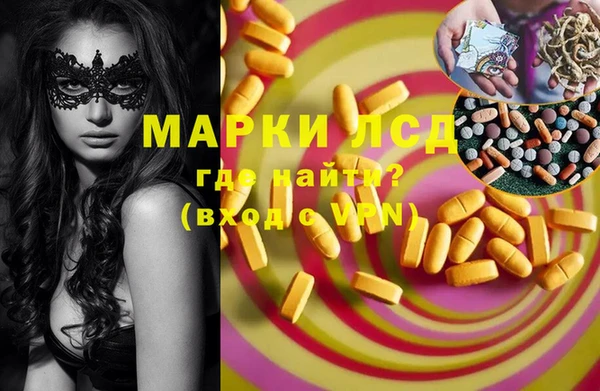хмурый Абаза
