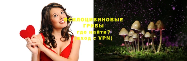 дмт Абинск