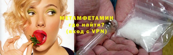 гидра Михайловка