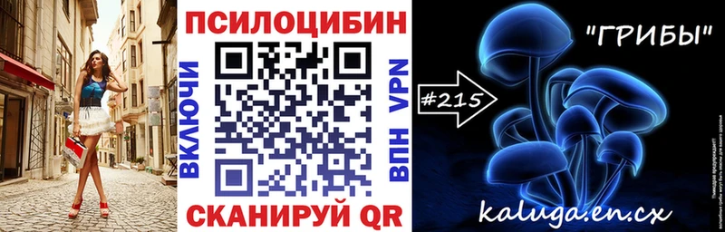 дарнет шоп Правдинск Псилоцибиновые грибы мухоморы